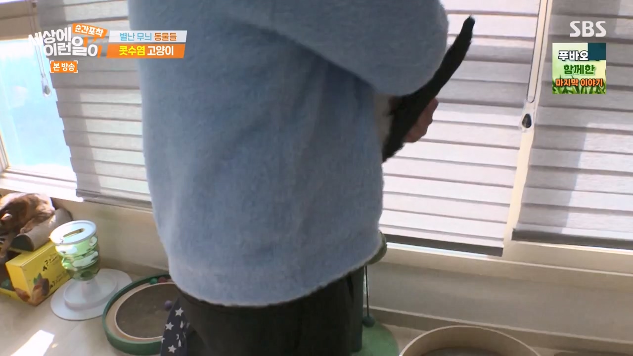 순간포착 세상에 이런일이.E1270.240324p-NEXT.mp4_20240324_164816.876.jpg