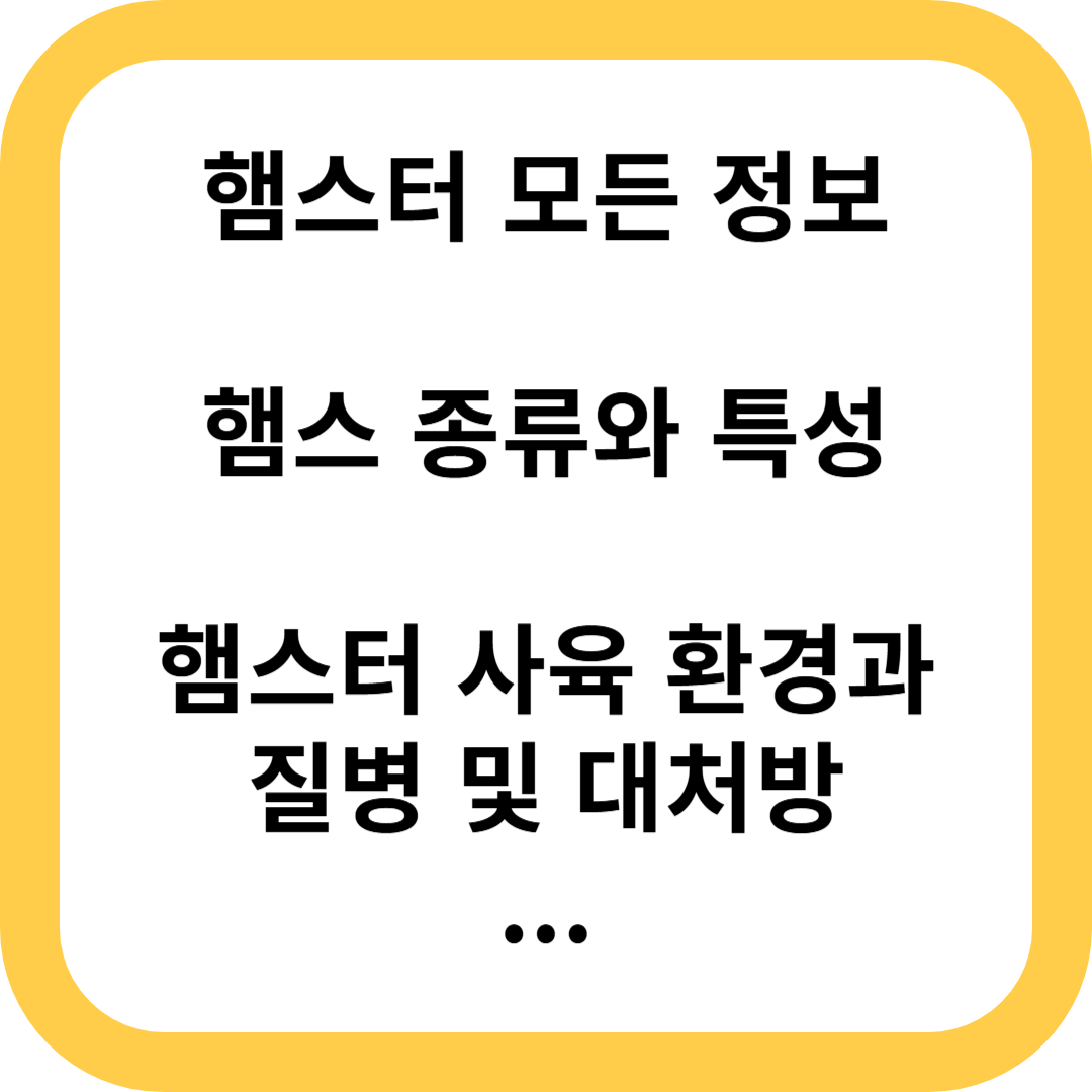 햄스터