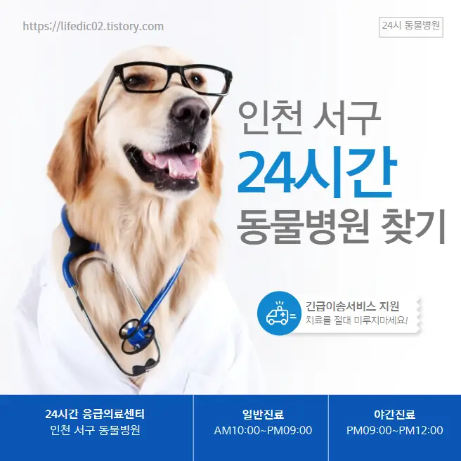  인천 서구 24시간 동물병원 근처 야간 일요일 고양이 병원 45곳