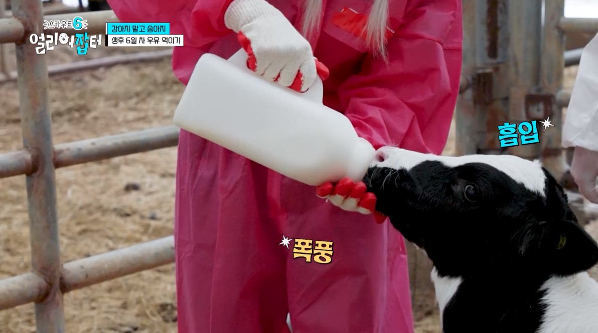 개신기한 병아리 꿈틀대면서 부화하는 모습...jpg | 인스티즈