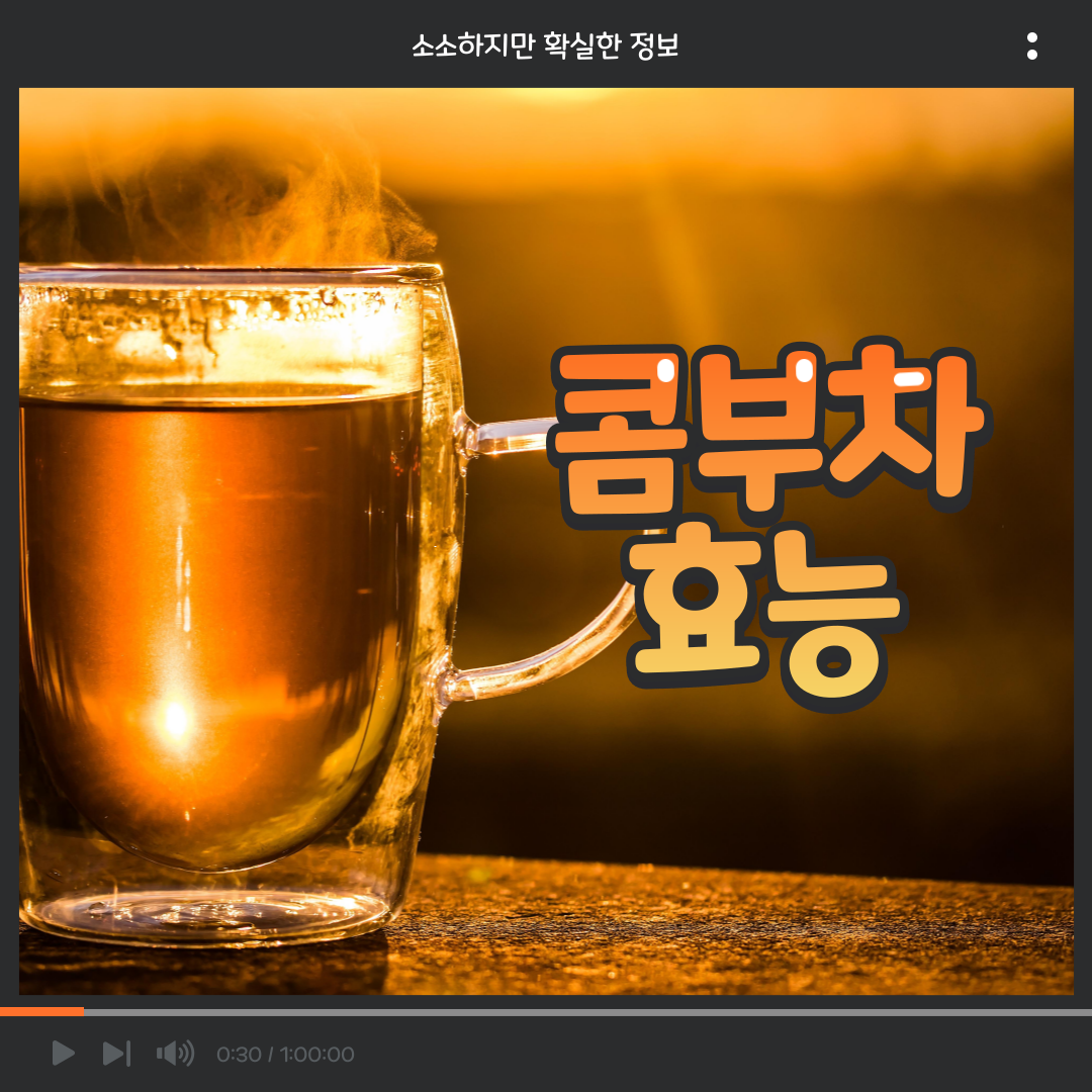  소확정 I 콤부차효능