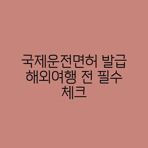 국제운전면허 발급 해외여행 전 필수 체크