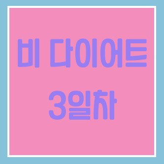  야매로 하는 비 다이어트 3일차_타바타 운동