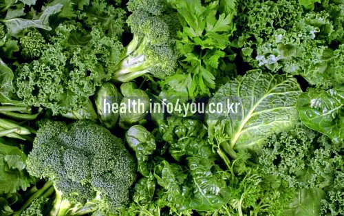 치매에 좋은 음식 - 푸른잎 채소
