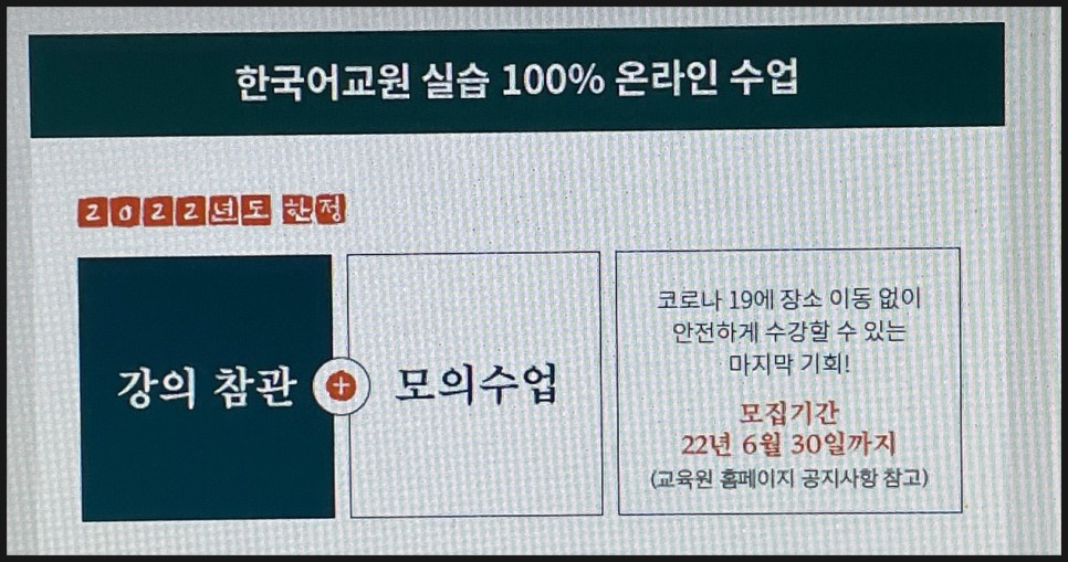 한국어 교원 양성 온라인