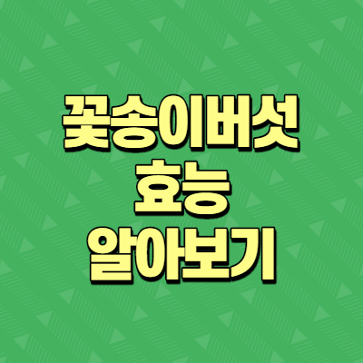  꽃송이버섯 효능 알아보기