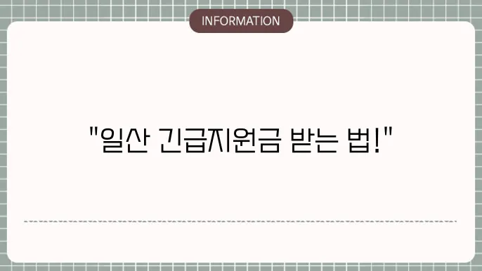 일산일수대출: 지역 긴급지원금