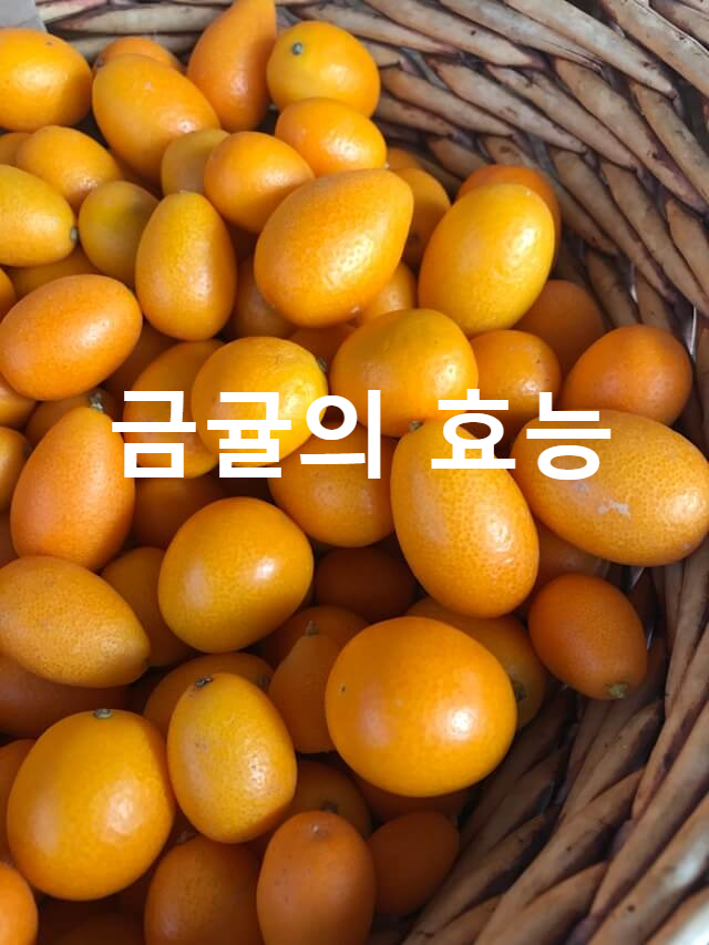 금귤의 효능