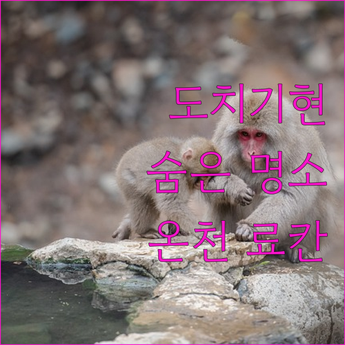 도치기현 숨겨진 명소, 카시와구라 온