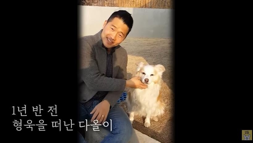 세상을 떠난 반려견과 똑닮은 인형을 선물받은 견주들의 반응
