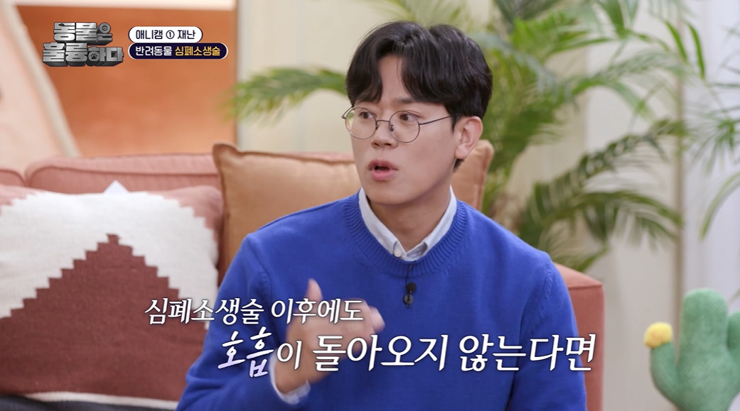반려인들은 알아두면 좋을 만한 정보들...jpg | 인스티즈
