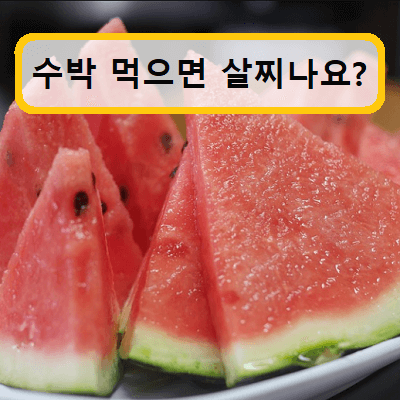 수박 살찌나요 :: 피지컬 스토리 수박 살찌나요 :: 피지컬 스토리