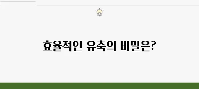 시밀레 S6+ 리뷰: 전동식 유축기의 독특한 매력 강조