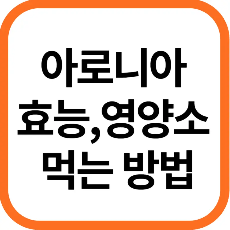 아로니아 효능 및 영양소&#44; 먹는 방법