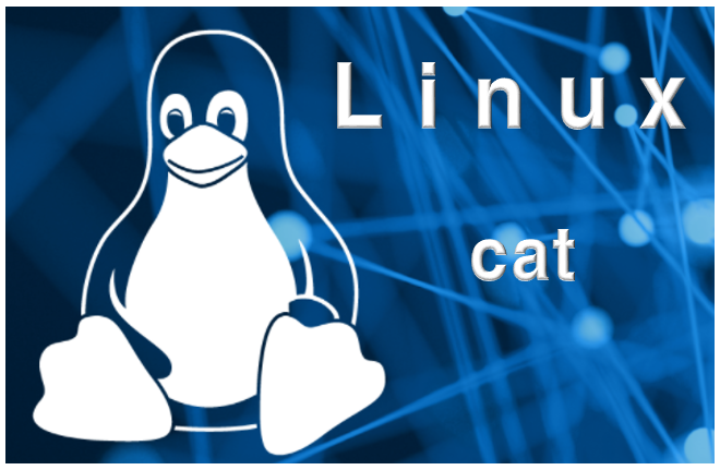  [Linux] 리눅스 cat 명령어, cat 옵션 종류 총정리