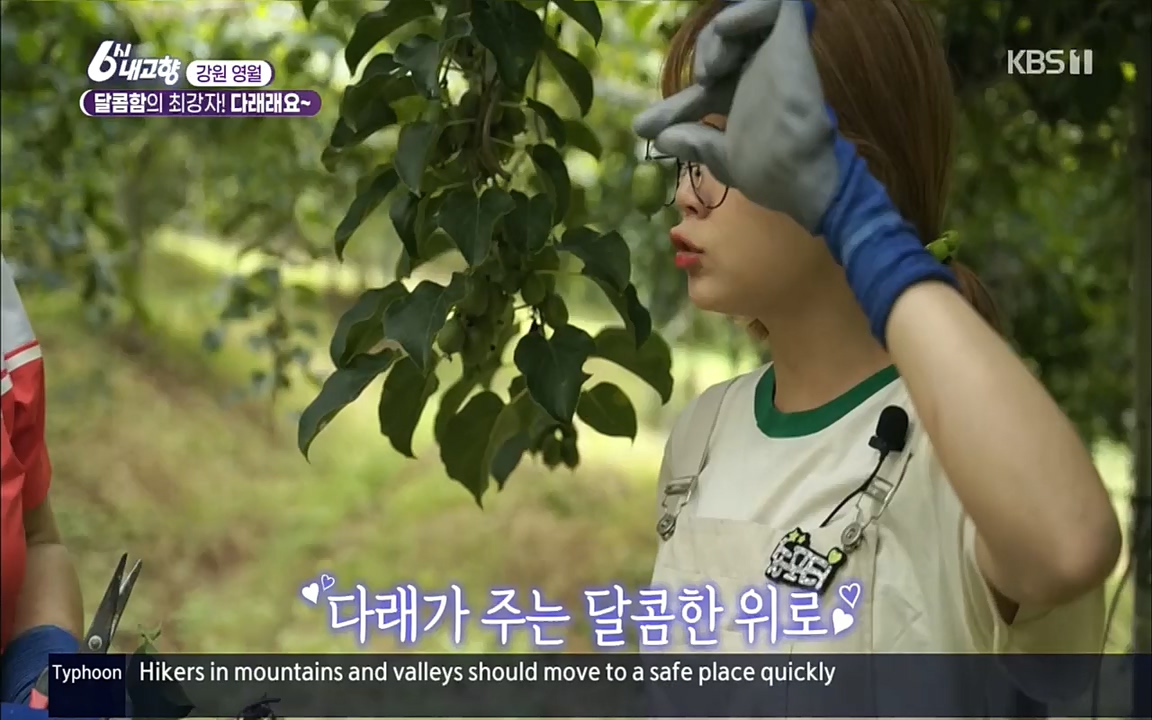 6시 내고향.E7611.220907p.H264-F1RST.mp4_20220908_204241.903.jpg