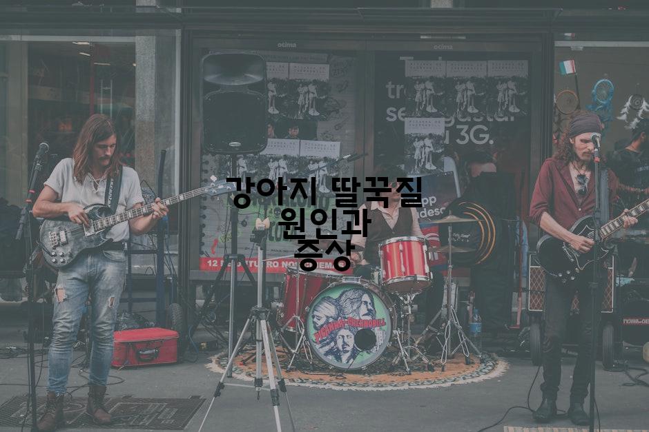 강아지 딸꾹질 원인과 증상