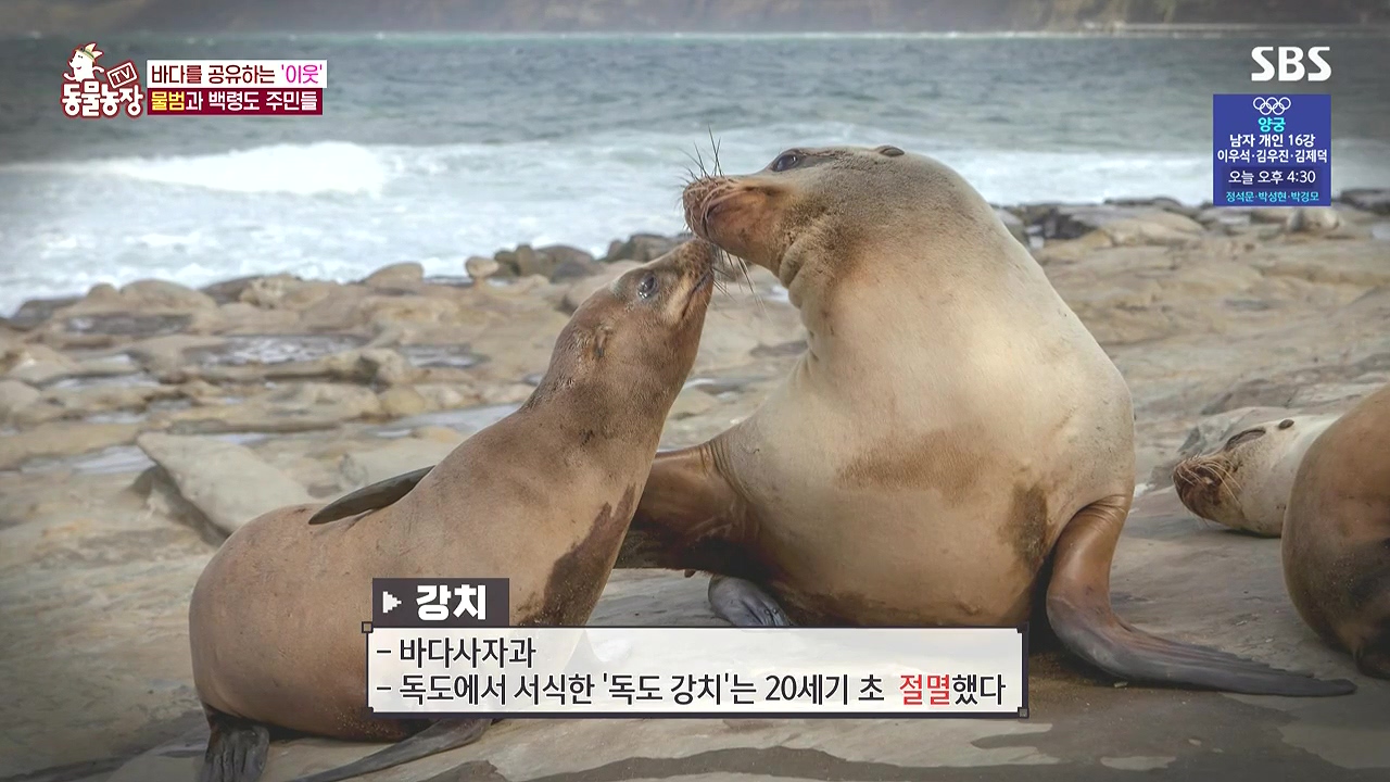 TV 동물농장.E1183.240805p-NEXT.mp4_20240804_154442.434.jpg