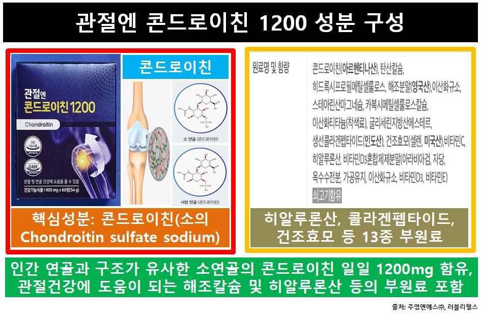 콘드로이친1200성분