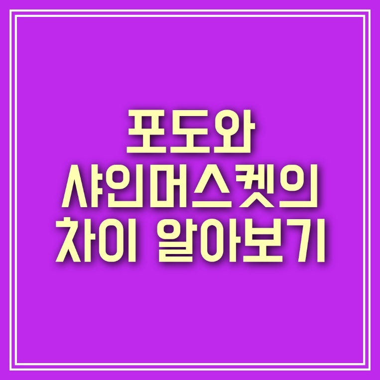  포도와 샤인머스켓의 차이: 풍성한 맛의 세계 여행
