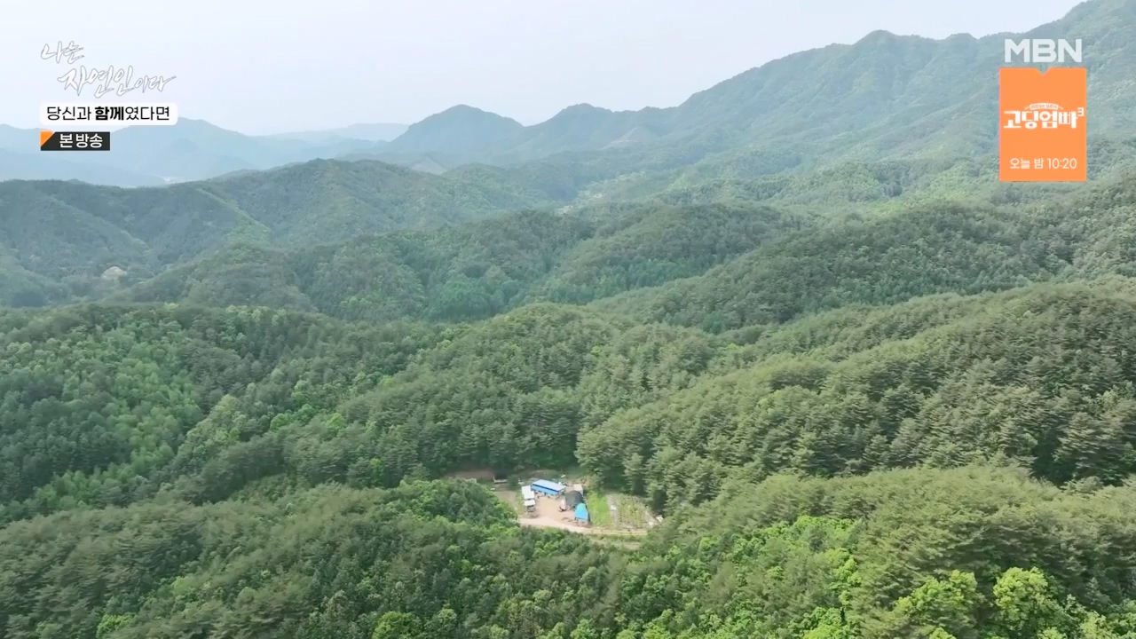 나는 자연인이다.E556.230532p-NEXT.mp4_20230601_201459.185.jpg