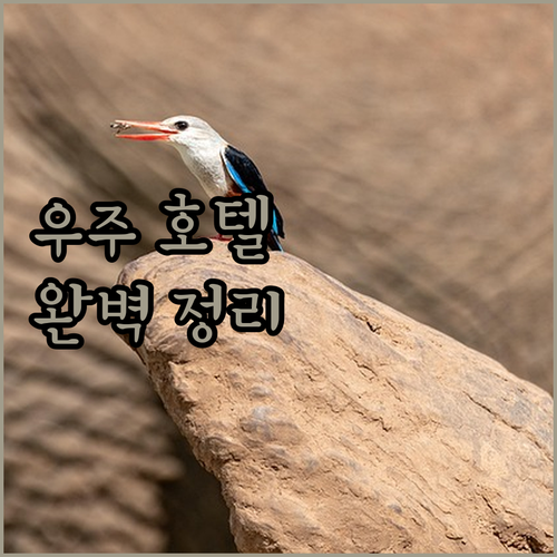 제주 항공우주 호텔 숙박 후기 조식,