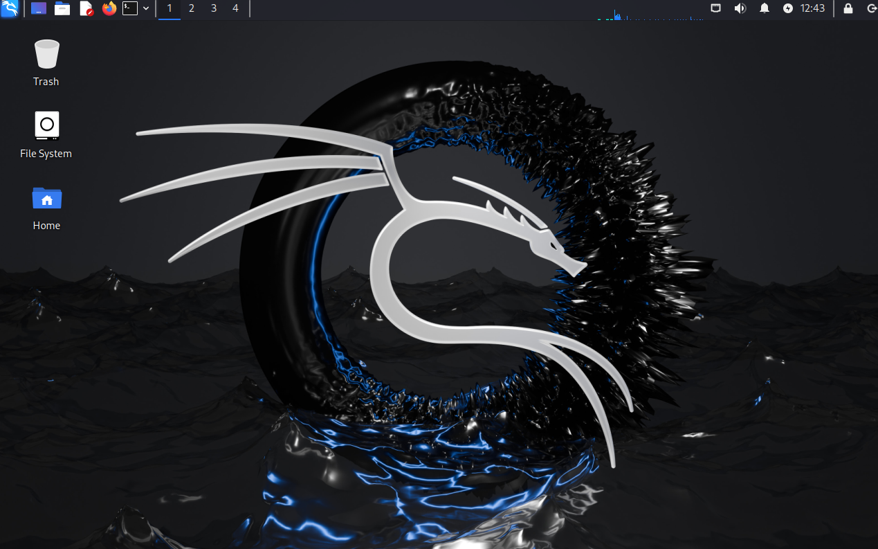 칼리리눅스 메인화면