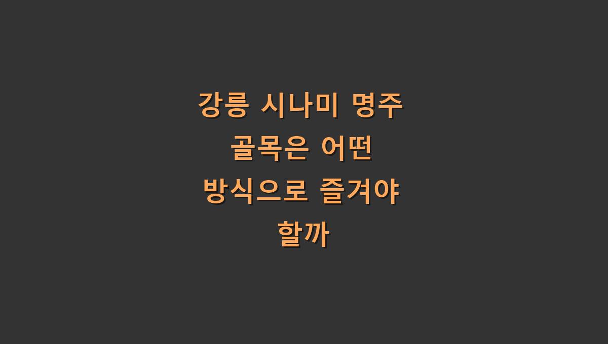 강릉 시나미 명주 골목은 어떤 방식으로 즐겨야 할까