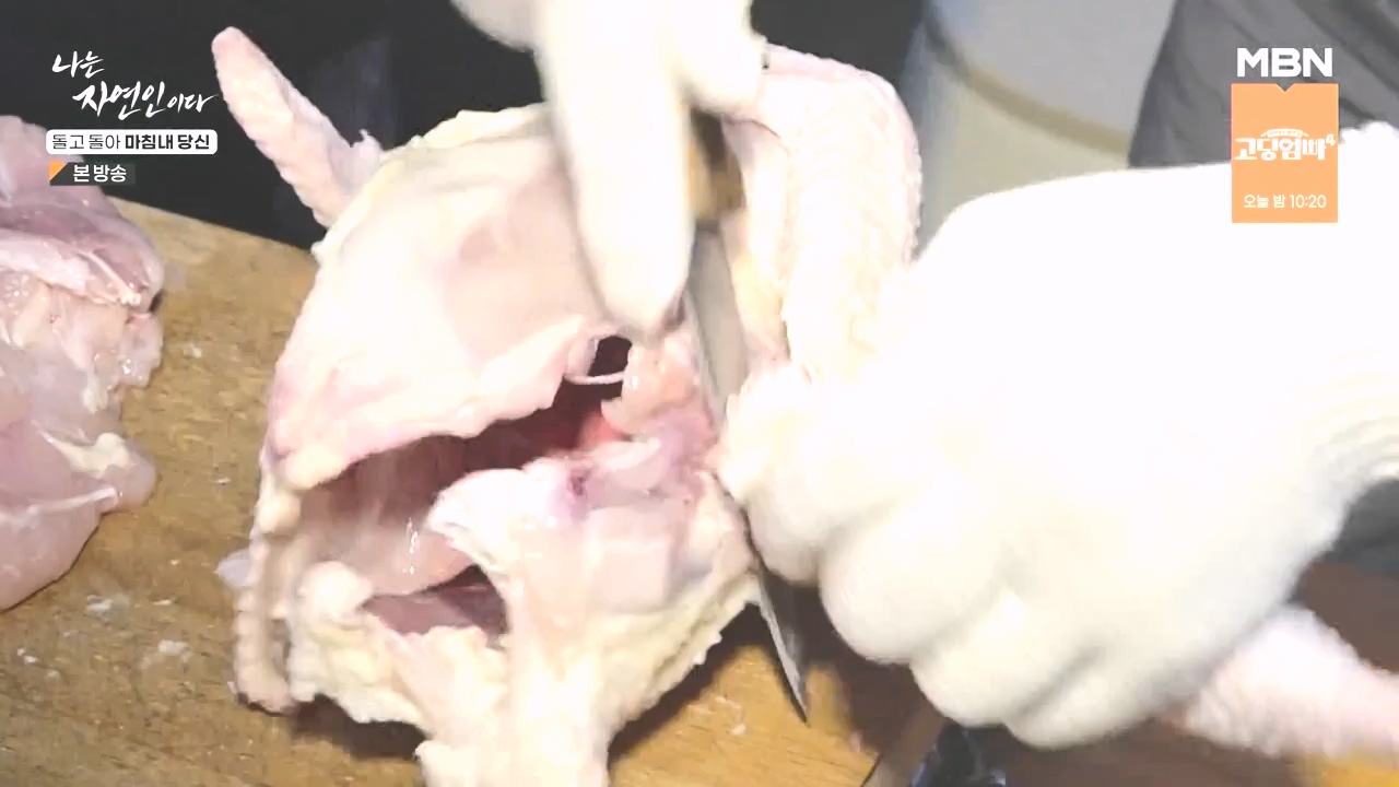 나는 자연인이다.E577.231026p-NEXT.mp4_20231026_200404.131.jpg