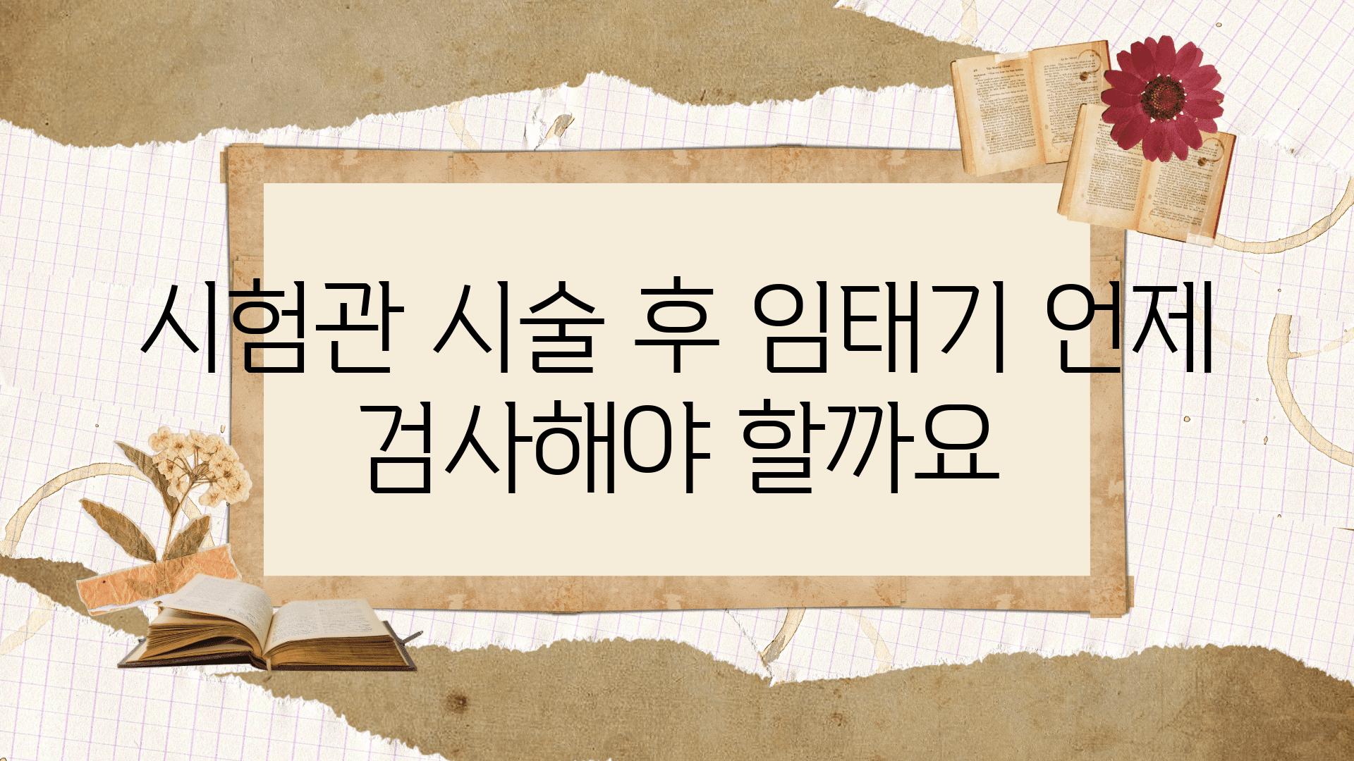 시험관 시술 후 임태기 언제 검사해야 할까요