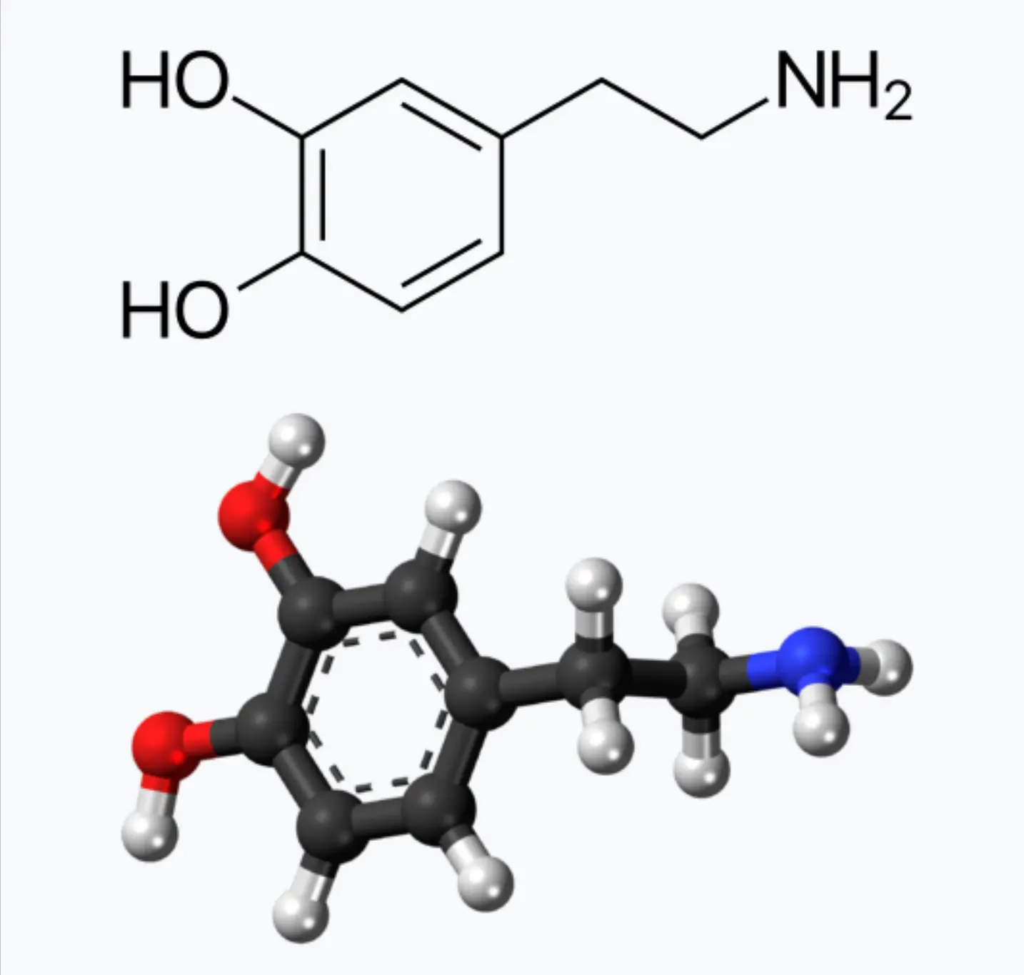 도파민의 분자식 그림