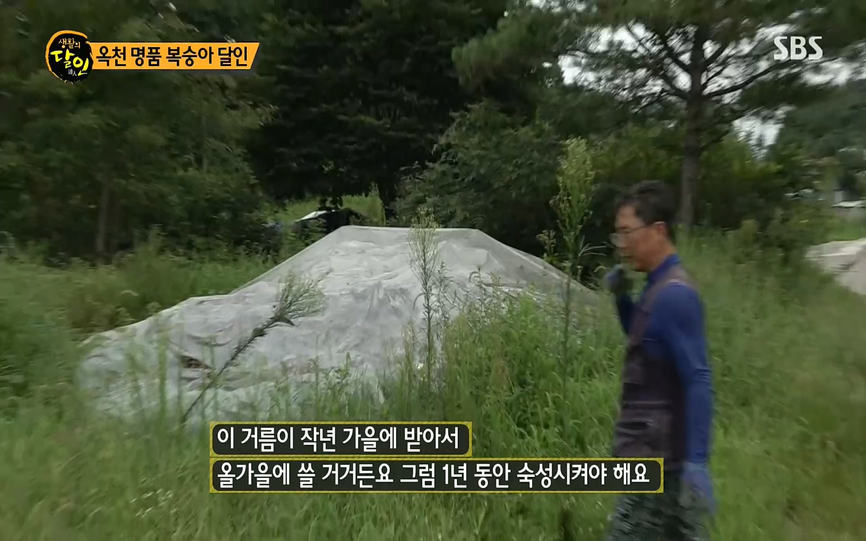 생활의 달인.E856.220815p.H264-F1RST.mp4_20220816_203845.273.jpg