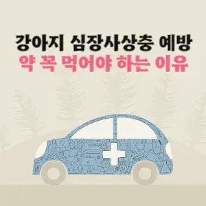 강아지 심장사상충 예방 약 비교