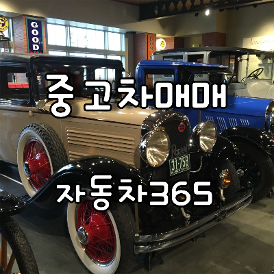  현대 중고차 매매 시 자동차365 사이트와 함께