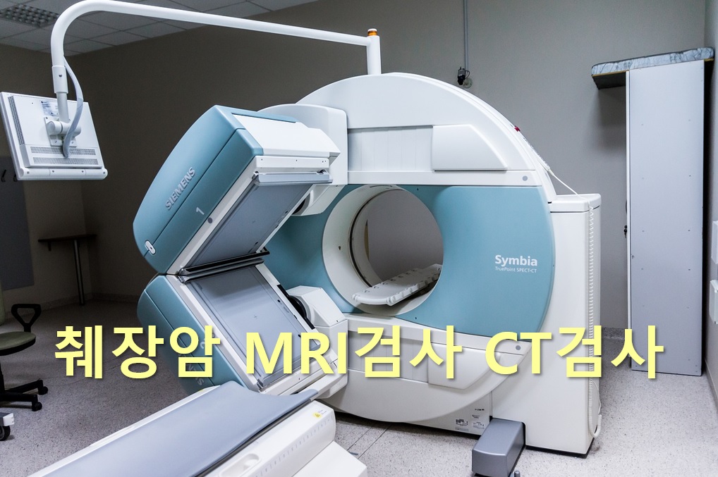  췌장에 생기는 악성종양을 검사하는 췌장암 검사 방법