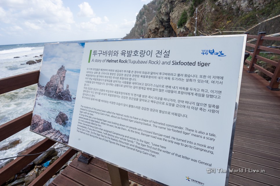 강원도 정동진바다부채길 12월 국내여행지 추천 25