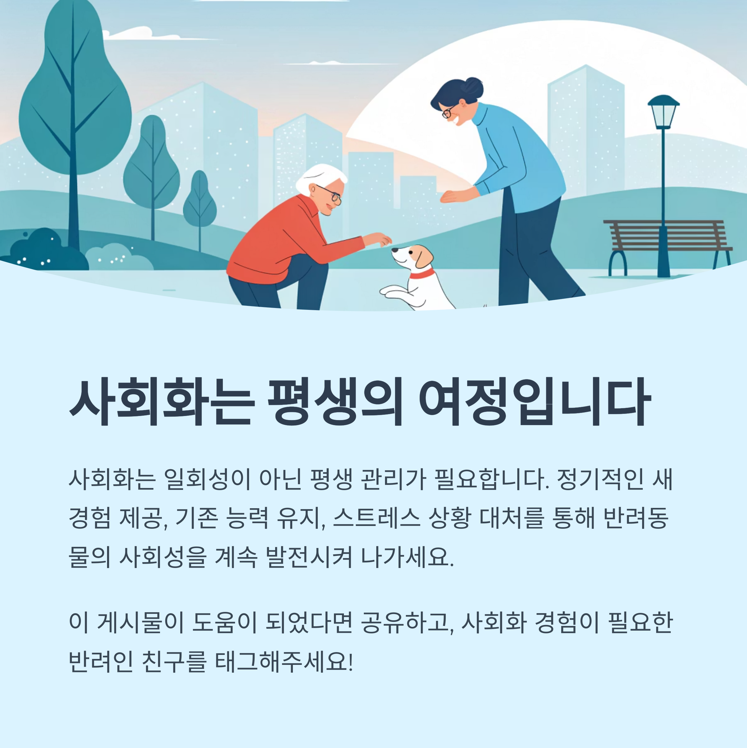 지속적인 사회화 관리