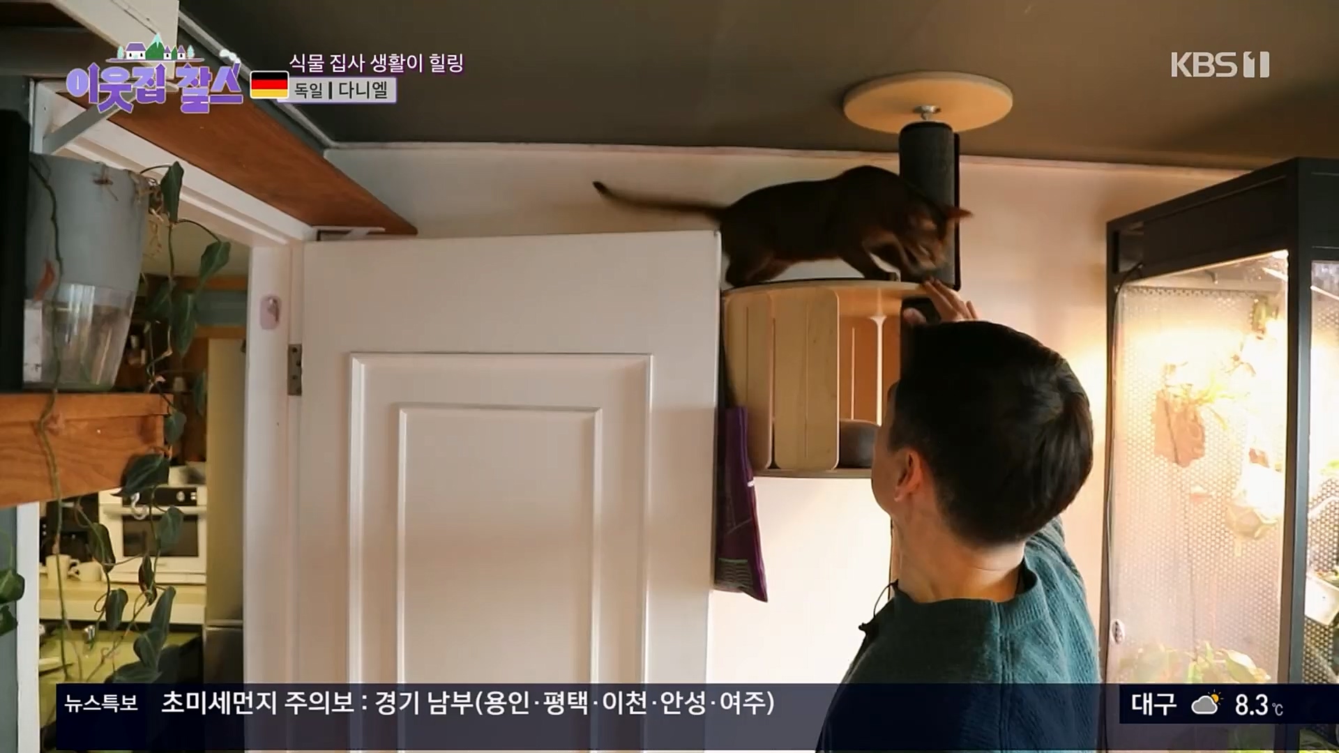 이웃집 찰스.E374.230207p.H264-F1RST.mp4_20230208_202016.663.jpg
