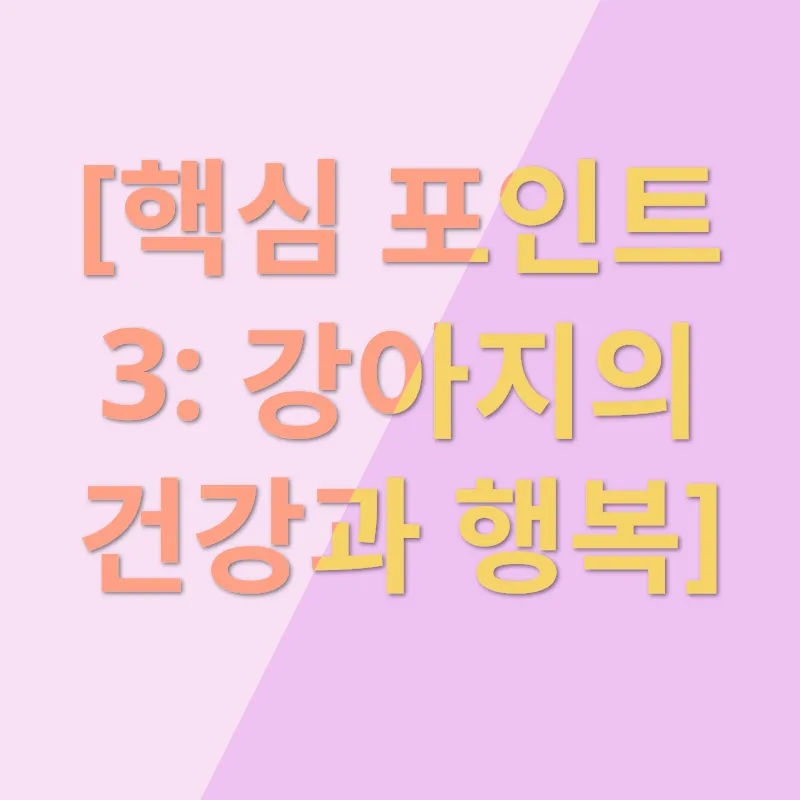 움직이는 강아지 장난감_3