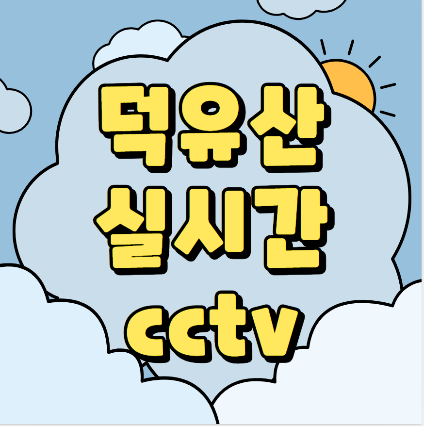  덕유산 실시간 cctv (곤도라 예약)