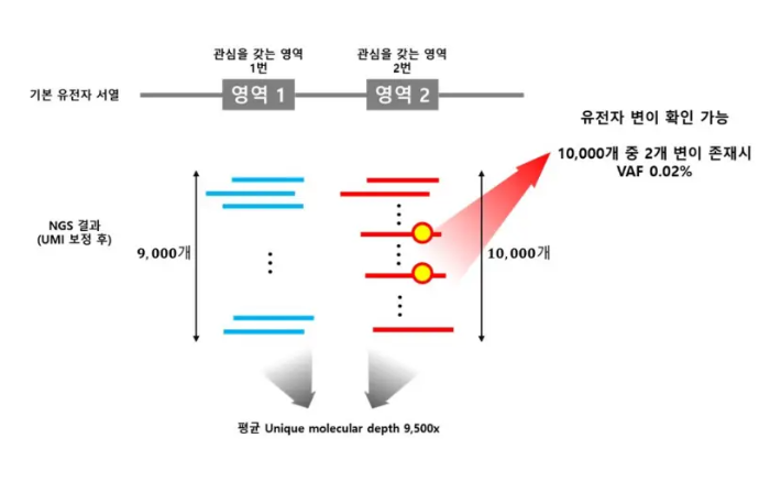 고유분자뎁스