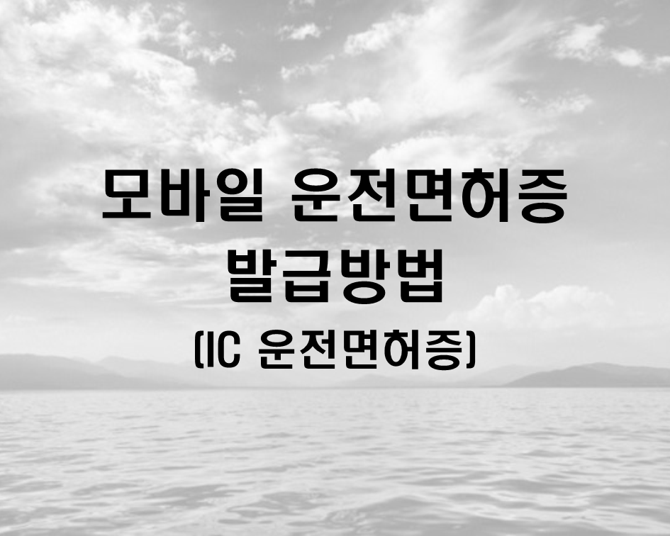  모바일 운전면허증 발급방법(IC 운전면허증)