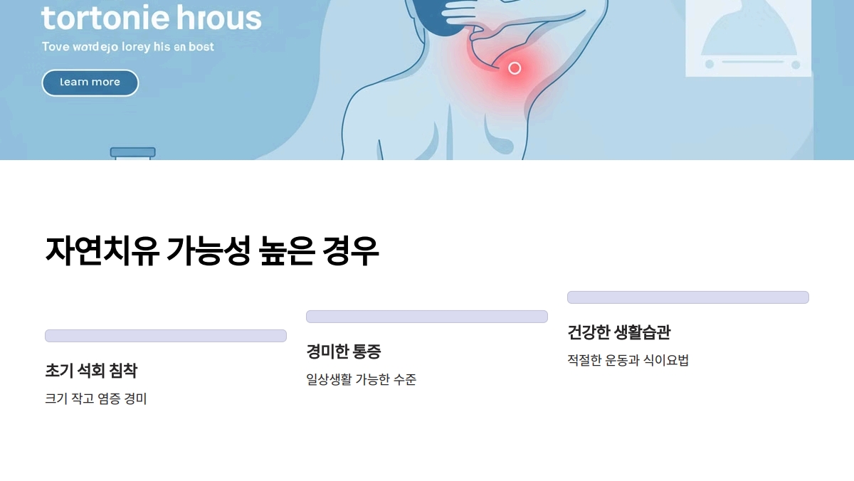 석회성건염 자연치유