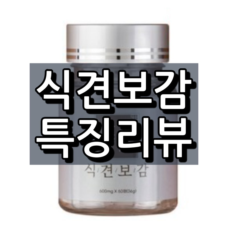  식견보감 효능, 복용법, 부작용 등