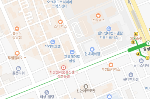 서울 강남구 탈모성지