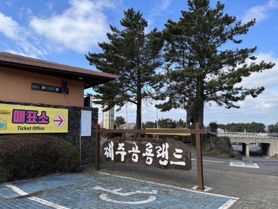 태교여행 놀기좋은 5