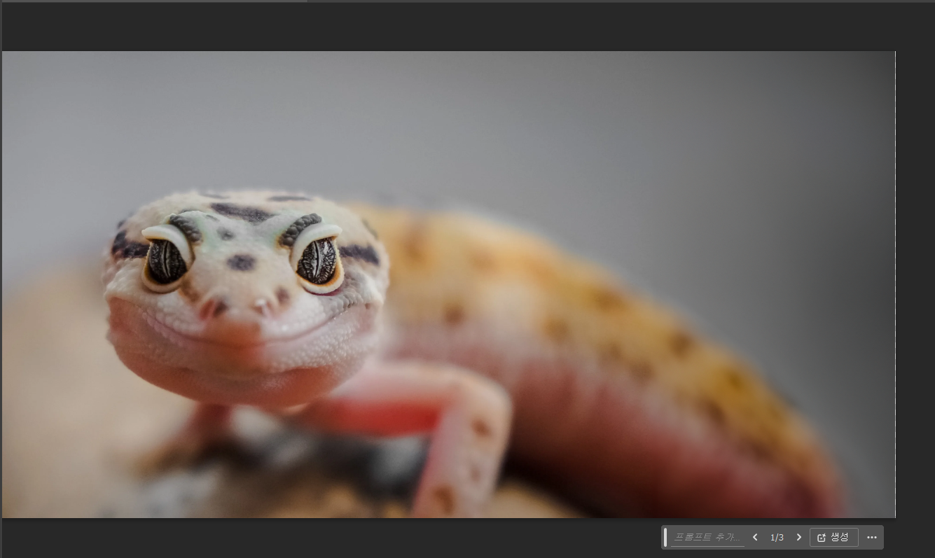 포토샵에서 생성형 채우기 도구를 사용하는 방법 사진 8