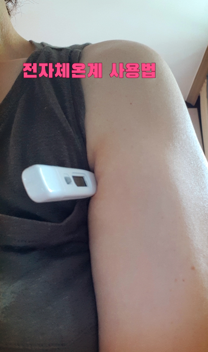  <막대>전자체온계 사용법 겨드랑이로 체온재기