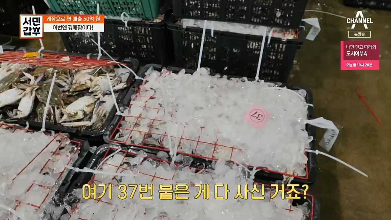 서민갑부.E411.221127p.H264-F1RST.mp4_20221127_173723.025.jpg