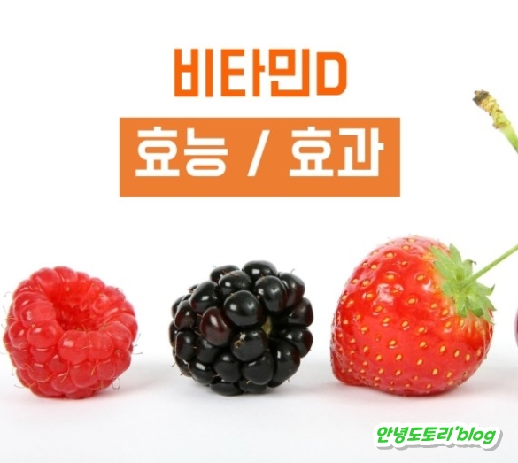  비타민D 부족증상 총 정리
